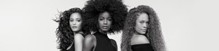 Curlmanifesto 1