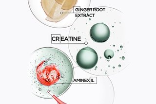 Kérastase Genesis Homme ingredientes: creatina, aminexil y extracto de raíz jengibre